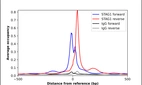 ChIP-Exo-Seq composite graph for Anti-STAG1 (HPA058653, Lot R82022) tested in K562 cells. Strand-specific reads (blue: forward, red: reverse) and IgG controls (black: forward, grey: reverse) are plotted against the distance from a composite set of reference binding sites. The antibody exhibits robust target enrichment compared to a non-specific IgG control and precisely reveals its structural organization around the binding site. Data generated by Prof. B. F. Pugh's Lab at Cornell University.