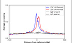 ChIP-Exo-Seq composite graph for Anti-ZNF100 (HPA059135, Lot R82909) tested in K562 cells. Strand-specific reads (blue: forward, red: reverse) and IgG controls (black: forward, grey: reverse) are plotted against the distance from a composite set of reference binding sites. The antibody exhibits robust target enrichment compared to a non-specific IgG control and precisely reveals its structural organization around the binding site. Data generated by Prof. B. F. Pugh's Lab at Cornell University.