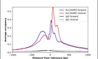 ChIP-Exo-Seq composite graph for Anti-SLC2A4RG (HPA063050, Lot R87789) tested in K562 cells. Strand-specific reads (blue: forward, red: reverse) and IgG controls (black: forward, grey: reverse) are plotted against the distance from a composite set of reference binding sites. The antibody exhibits robust target enrichment compared to a non-specific IgG control and precisely reveals its structural organization around the binding site. Data generated by Prof. B. F. Pugh's Lab at Cornell University.