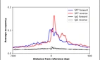 ChIP-Exo-Seq composite graph for Anti-SP7 (HPA063202, Lot 000023209) tested in K562 cells. Strand-specific reads (blue: forward, red: reverse) and IgG controls (black: forward, grey: reverse) are plotted against the distance from a composite set of reference binding sites. The antibody exhibits robust target enrichment compared to a non-specific IgG control and precisely reveals its structural organization around the binding site. Data generated by Prof. B. F. Pugh's Lab at Cornell University.