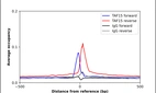 ChIP-Exo-Seq composite graph for Anti-TAF15 (HPA063647, Lot R88527) tested in K562 cells. Strand-specific reads (blue: forward, red: reverse) and IgG controls (black: forward, grey: reverse) are plotted against the distance from a composite set of reference binding sites. The antibody exhibits robust target enrichment compared to a non-specific IgG control and precisely reveals its structural organization around the binding site. Data generated by Prof. B. F. Pugh's Lab at Cornell University.