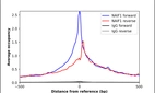 ChIP-Exo-Seq composite graph for Anti-NAIF1 (HPA064931, Lot R91501) tested in K562 cells. Strand-specific reads (blue: forward, red: reverse) and IgG controls (black: forward, grey: reverse) are plotted against the distance from a composite set of reference binding sites. The antibody exhibits robust target enrichment compared to a non-specific IgG control and precisely reveals its structural organization around the binding site. Data generated by Prof. B. F. Pugh's Lab at Cornell University.