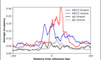 ChIP-Exo-Seq composite graph for Anti-XRCC2 (HPA065153, Lot 000049566) tested in K562 cells. Strand-specific reads (blue: forward, red: reverse) and IgG controls (black: forward, grey: reverse) are plotted against the distance from a composite set of reference binding sites. The antibody exhibits robust target enrichment compared to a non-specific IgG control and precisely reveals its structural organization around the binding site. Data generated by Prof. B. F. Pugh's Lab at Cornell University.