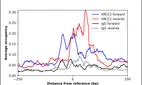 ChIP-Exo-Seq composite graph for Anti-XRCC2 (HPA065153, Lot 000049566) tested in K562 cells. Strand-specific reads (blue: forward, red: reverse) and IgG controls (black: forward, grey: reverse) are plotted against the distance from a composite set of reference binding sites. The antibody exhibits robust target enrichment compared to a non-specific IgG control and precisely reveals its structural organization around the binding site. Data generated by Prof. B. F. Pugh's Lab at Cornell University.