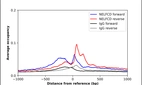 ChIP-Exo-Seq composite graph for Anti-NELFCD (HPA066262, Lot R94248) tested in K562 cells. Strand-specific reads (blue: forward, red: reverse) and IgG controls (black: forward, grey: reverse) are plotted against the distance from a composite set of reference binding sites. The antibody exhibits robust target enrichment compared to a non-specific IgG control and precisely reveals its structural organization around the binding site. Data generated by Prof. B. F. Pugh's Lab at Cornell University.