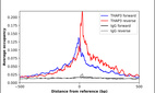 ChIP-Exo-Seq composite graph for Anti-THAP3 (HPA067114, Lot R99019) tested in K562 cells. Strand-specific reads (blue: forward, red: reverse) and IgG controls (black: forward, grey: reverse) are plotted against the distance from a composite set of reference binding sites. The antibody exhibits robust target enrichment compared to a non-specific IgG control and precisely reveals its structural organization around the binding site. Data generated by Prof. B. F. Pugh's Lab at Cornell University.