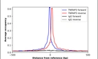 ChIP-Exo-Seq composite graph for Anti-TNFAIP3 (HPA067479, Lot R98692) tested in K562 cells. Strand-specific reads (blue: forward, red: reverse) and IgG controls (black: forward, grey: reverse) are plotted against the distance from a composite set of reference binding sites. The antibody exhibits robust target enrichment compared to a non-specific IgG control and precisely reveals its structural organization around the binding site. Data generated by Prof. B. F. Pugh's Lab at Cornell University.