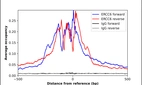 ChIP-Exo-Seq composite graph for Anti-ERCC6 (HPA071297, Lot R100527) tested in K562 cells. Strand-specific reads (blue: forward, red: reverse) and IgG controls (black: forward, grey: reverse) are plotted against the distance from a composite set of reference binding sites. The antibody exhibits robust target enrichment compared to a non-specific IgG control and precisely reveals its structural organization around the binding site. Data generated by Prof. B. F. Pugh's Lab at Cornell University.