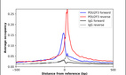 ChIP-Exo-Seq composite graph for Anti-POU2F3 (HPA073468, Lot R98842) tested in K562 cells. Strand-specific reads (blue: forward, red: reverse) and IgG controls (black: forward, grey: reverse) are plotted against the distance from a composite set of reference binding sites. The antibody exhibits robust target enrichment compared to a non-specific IgG control and precisely reveals its structural organization around the binding site. Data generated by Prof. B. F. Pugh's Lab at Cornell University.