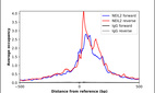 ChIP-Exo-Seq composite graph for Anti-NEIL2 (HPA073916, Lot R100768) tested in K562 cells. Strand-specific reads (blue: forward, red: reverse) and IgG controls (black: forward, grey: reverse) are plotted against the distance from a composite set of reference binding sites. The antibody exhibits robust target enrichment compared to a non-specific IgG control and precisely reveals its structural organization around the binding site. Data generated by Prof. B. F. Pugh's Lab at Cornell University.