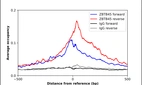 ChIP-Exo-Seq composite graph for Anti-ZBTB45 (HPA075485, Lot R112941) tested in K562 cells. Strand-specific reads (blue: forward, red: reverse) and IgG controls (black: forward, grey: reverse) are plotted against the distance from a composite set of reference binding sites. The antibody exhibits robust target enrichment compared to a non-specific IgG control and precisely reveals its structural organization around the binding site. Data generated by Prof. B. F. Pugh's Lab at Cornell University.