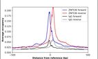 ChIP-Exo-Seq composite graph for Anti-ZNF536 (HPA077341, Lot R111163) tested in K562 cells. Strand-specific reads (blue: forward, red: reverse) and IgG controls (black: forward, grey: reverse) are plotted against the distance from a composite set of reference binding sites. The antibody exhibits robust target enrichment compared to a non-specific IgG control and precisely reveals its structural organization around the binding site. Data generated by Prof. B. F. Pugh's Lab at Cornell University.
