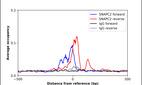 ChIP-Exo-Seq composite graph for Anti-SNAPC2 (HPA077597, Lot R111933) tested in K562 cells. Strand-specific reads (blue: forward, red: reverse) and IgG controls (black: forward, grey: reverse) are plotted against the distance from a composite set of reference binding sites. The antibody exhibits robust target enrichment compared to a non-specific IgG control and precisely reveals its structural organization around the binding site. Data generated by Prof. B. F. Pugh's Lab at Cornell University.