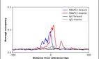 ChIP-Exo-Seq composite graph for Anti-SNAPC2 (HPA077597, Lot R111933) tested in K562 cells. Strand-specific reads (blue: forward, red: reverse) and IgG controls (black: forward, grey: reverse) are plotted against the distance from a composite set of reference binding sites. The antibody exhibits robust target enrichment compared to a non-specific IgG control and precisely reveals its structural organization around the binding site. Data generated by Prof. B. F. Pugh's Lab at Cornell University.
