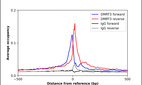 ChIP-Exo-Seq composite graph for Anti-DMRT3 (HPA077685, Lot R111764) tested in K562 cells. Strand-specific reads (blue: forward, red: reverse) and IgG controls (black: forward, grey: reverse) are plotted against the distance from a composite set of reference binding sites. The antibody exhibits robust target enrichment compared to a non-specific IgG control and precisely reveals its structural organization around the binding site. Data generated by Prof. B. F. Pugh's Lab at Cornell University.