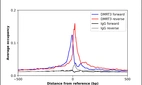 ChIP-Exo-Seq composite graph for Anti-DMRT3 (HPA077685, Lot R111764) tested in K562 cells. Strand-specific reads (blue: forward, red: reverse) and IgG controls (black: forward, grey: reverse) are plotted against the distance from a composite set of reference binding sites. The antibody exhibits robust target enrichment compared to a non-specific IgG control and precisely reveals its structural organization around the binding site. Data generated by Prof. B. F. Pugh's Lab at Cornell University.