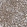 Anti-CDS2 Antibody