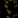 Anti-HOXC4 Antibody