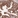Anti-ERBB3 Antibody
