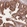 Anti-ERBB3 Antibody