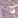 Anti-CLN6 Antibody