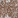 Anti-PDSS1 Antibody
