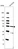 Anti-FLAD1 Antibody