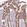 Anti-PLPP2 Antibody