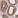 Anti-SLC4A9 Antibody