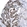 Anti-SATB2 Recombinant Antibody