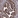 Anti-TUFM Recombinant Antibody