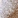 Anti-CNP Recombinant Antibody