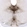 Anti-TPH2 Recombinant Antibody