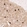 Anti-CHAT Recombinant Antibody