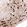 Anti-CHAT Recombinant Antibody