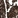 Anti-PPIB Recombinant Antibody