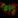 Anti-CUX2 Recombinant Antibody