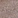 Anti-PAPOLA Antibody