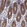 Anti-CCL28 Antibody