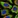 Anti-C15orf39 Antibody