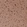 Anti-LAMP1 Antibody